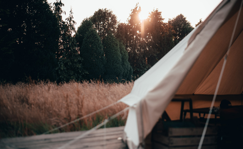 A canvas tent positioned near tall grasses and trees, with the warm glow of the setting sun visible in the background, creating a serene camping atmosphere.